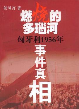燃烧的多瑙河