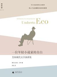 一位年轻小说家的自白 (广西师范大学出版社·理想国 2014)