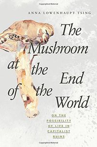 The Mushroom at the End of the World: On the Possibility of Life in Capitalist Ruins (Princeton University Press 2015)