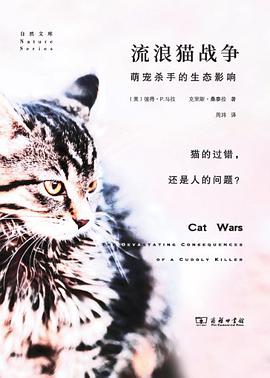 流浪猫战争
