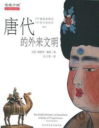 唐代的外来文明 (陕西师范大学出版社 2005)