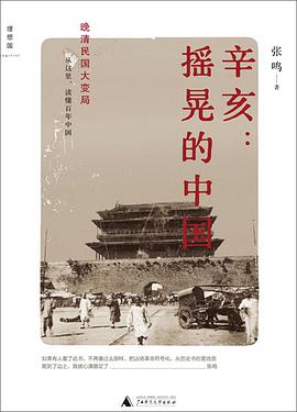 辛亥:摇晃的中国