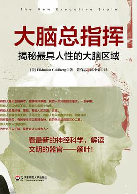 大脑总指挥