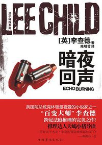 暗夜回声 (中国华侨出版社 2011)