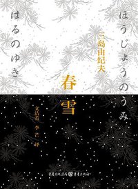 春雪 (重庆出版社 2014)