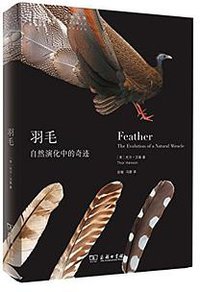 羽毛