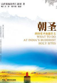 朝圣 (中国广播电视出版社 2010)