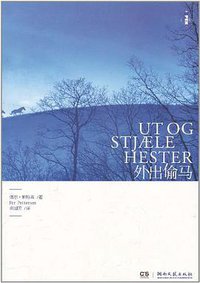 外出偷马 (湖南文艺出版社 2011)