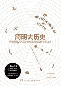 简明大历史 (湖南文艺出版社·读行者品牌 2018)