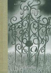 黑白异境 (汕头大学出版社 2004)