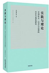 实践与理论 (法律出版社 2015)