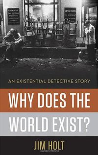 Why Does the World Exist? (Liveright 2012)