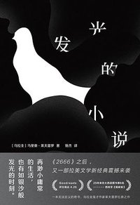 发光的小说 (湖南文艺出版社 2019)
