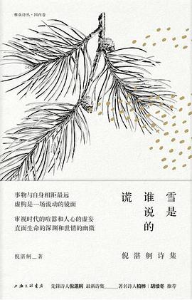 雪是谁说的谎:倪湛舸诗集