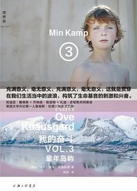 我的奋斗3