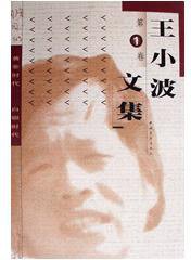王小波文集(4卷)