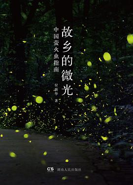 故乡的微光