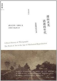 迎向灵光消逝的年代 (广西师范大学出版社 2008)