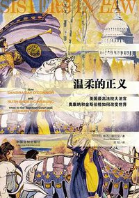 温柔的正义 (中国法制出版社 2018)