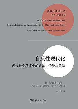 自反性现代化