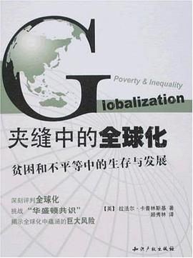 夹缝中的全球化