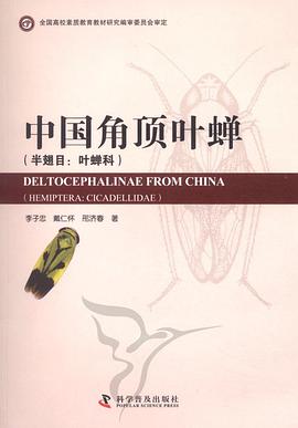 中国角顶叶蝉
