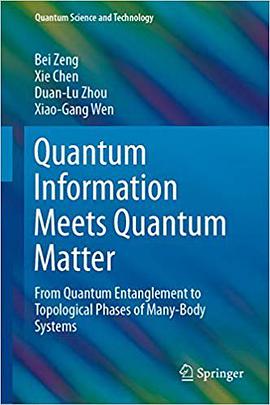 Quantum Information Meets Quantum Matter