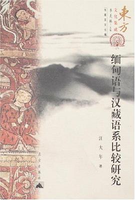 缅甸语与汉藏语系比较研究