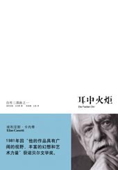 耳中火炬