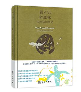 看不见的森林:林中自然笔记(珍藏本)