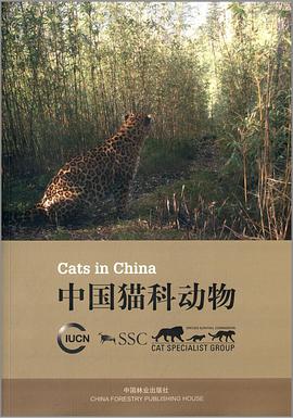 中国猫科动物