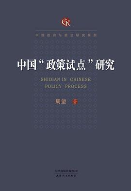 中国政策试点研究