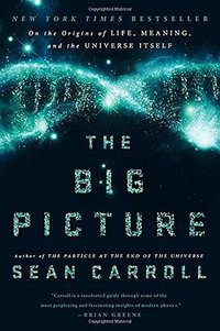The Big Picture: On the Origins of Life, Meaning, and the Universe Itself (Dutton 2016)