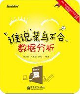 谁说菜鸟不会数据分析 (电子工业出版社 2011)