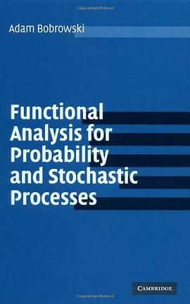 Functional Analysis For Probability And Stochastic Processes