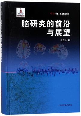 脑研究的前沿与展望