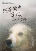 我在雨中等你 (圓神出版社 2008)