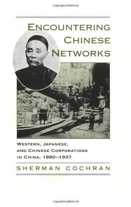 Encountering Chinese Networks