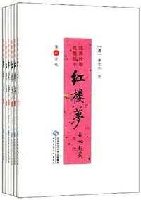 红楼梦:校注本 (北京师范大学出版社 1995)