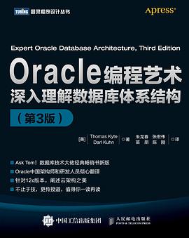 Oracle编程艺术：深入理解数据库体系结构（第3版）