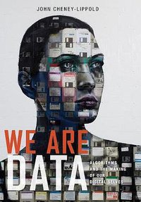 We Are Data (NYU Press 2017)