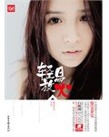 轻易放火 (山东画报出版社 2011)