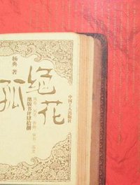 孤绝花 (中国工人出版社 2007)