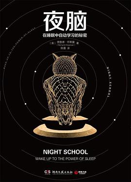 夜脑