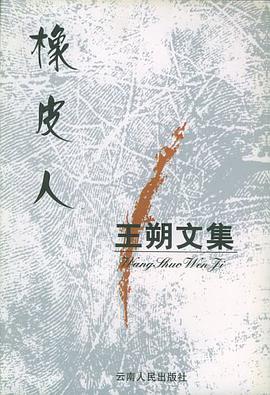 王朔文集