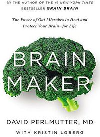 Brain Maker (Little, Brown and Company 2015)