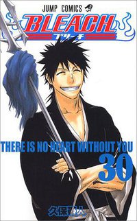 BLEACH―ブリーチ― 30 (集英社 2007)