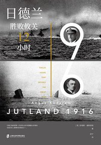 日德兰1916 (上海社会科学院出版社 2019)