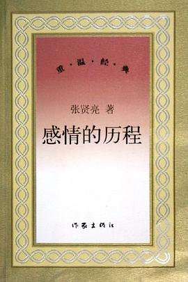 感情的历程