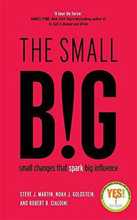 The small BIG (Profile Books 2014)